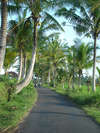 ALiLa Manggis boutique 